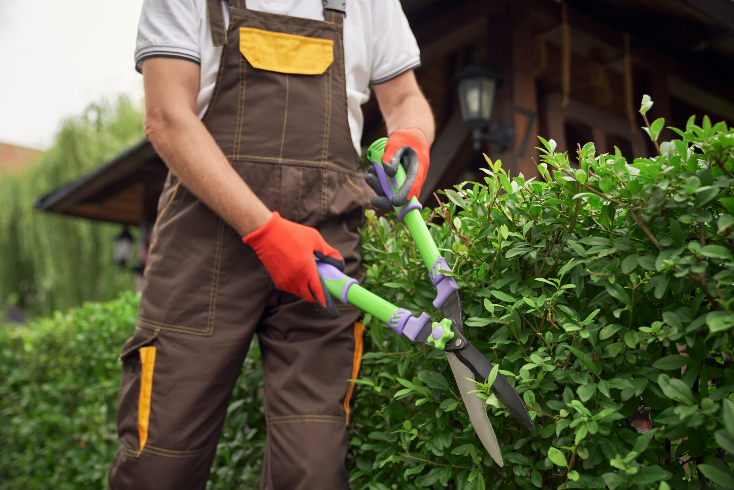 Gardening Staff